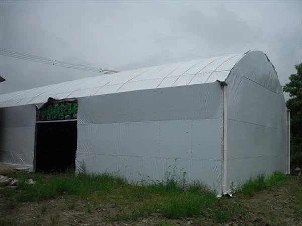 fcddbbea7ff145178f7c4644e677855d