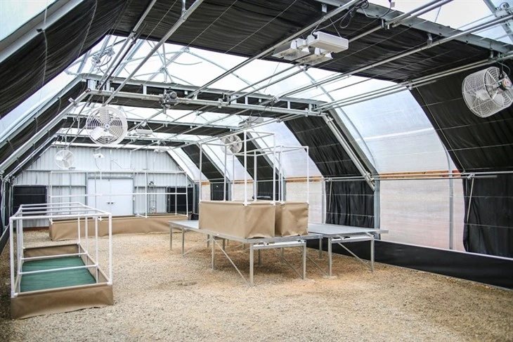 blackout greenhouse 2