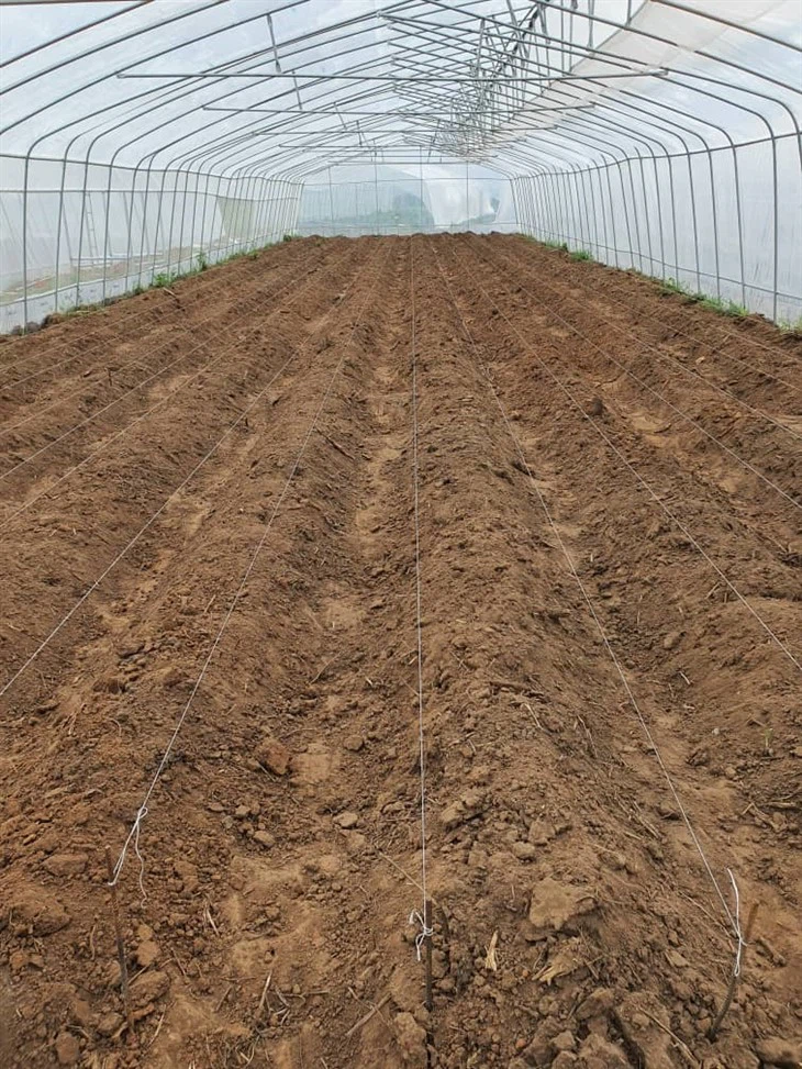 NGA-Tunnel Greenhouse 1.0