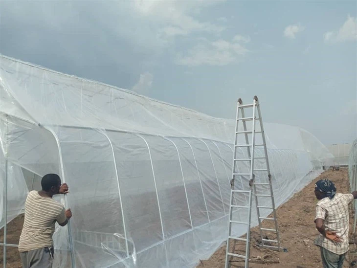 NGA-Tunnel Greenhouse 4.6