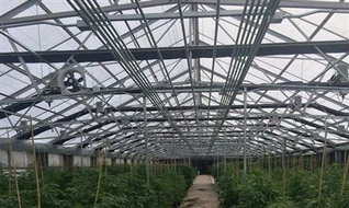 Black Shade Cloth Agriculture Greenhouse