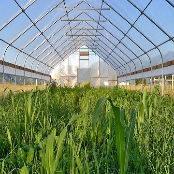 Polytunnel Plastic Greenhouses