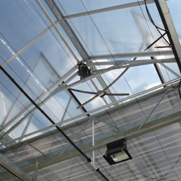 Glass Greenhouse best