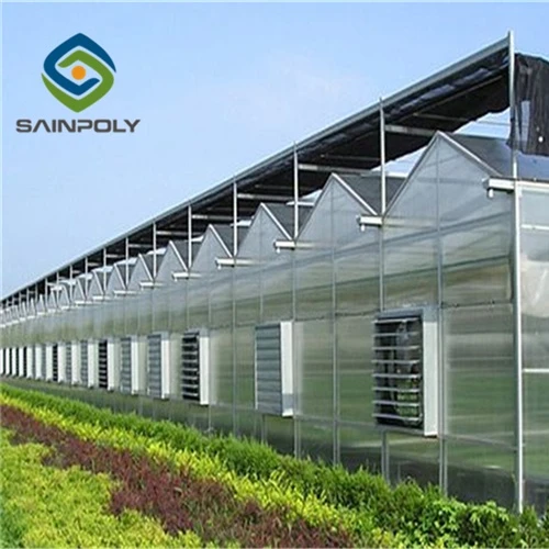 Leafy Vegetables Planting PC Sheet Greenhouse