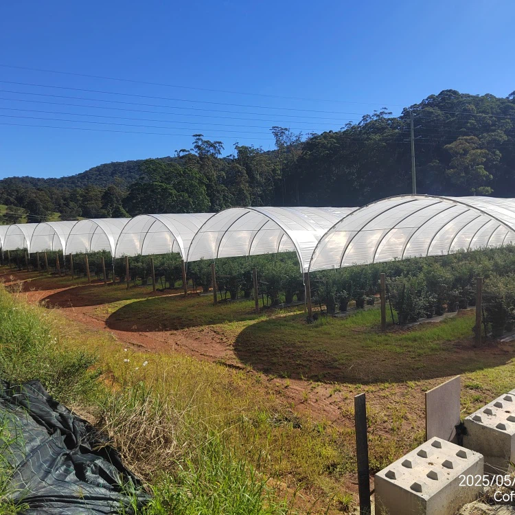 Agricultural Greenhouses