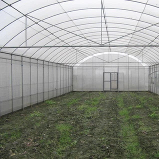 Gothic Style High Tunnel Greenhouse