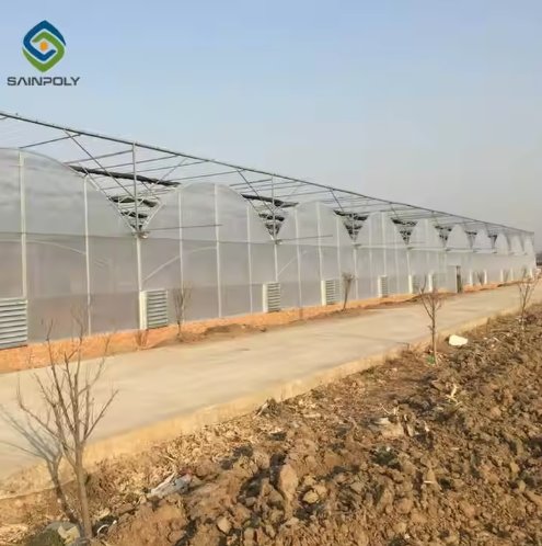 Poly Film Greenhouse
