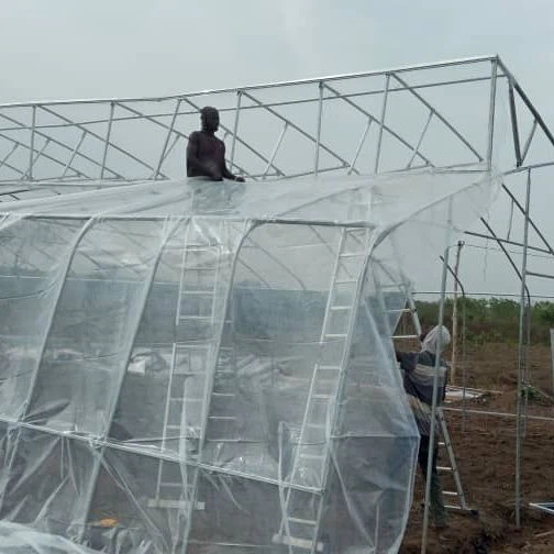 Poly Tunnel Greenhouse