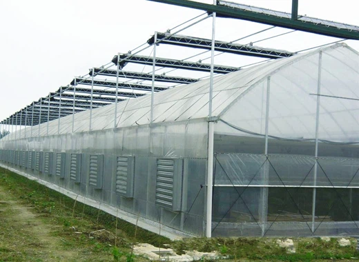 single-span agricultural greenhouses single-span agricultural greenhouses