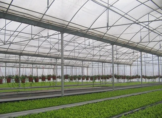 greenhouse plastic film for mushroom greenhouse plastic film for mushroom