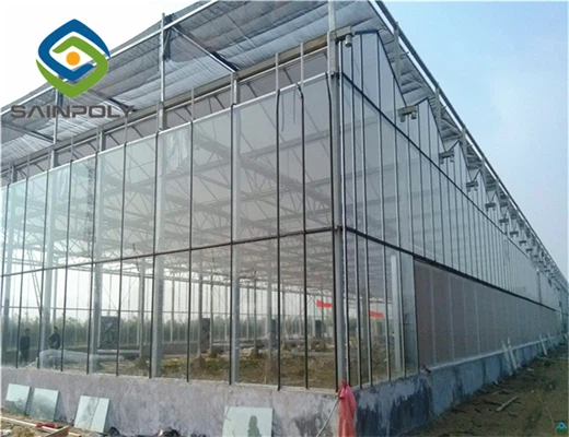 greenhouse for tomato greenhouse for tomato