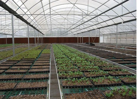 high tunnel agriculture greenhouse high tunnel agriculture greenhouse