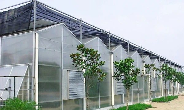 double glazed glass greenhouse double glazed glass greenhouse