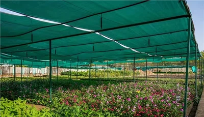 Agricultural HDPE Shade Net