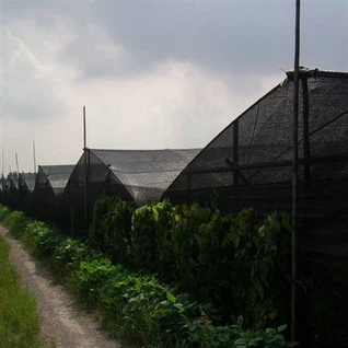 Anti-UV HDPE Green Sun Shading Net