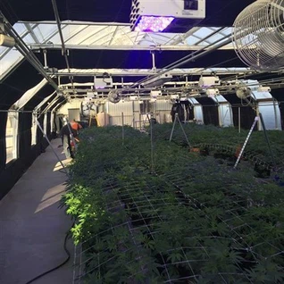 Automated Greenhouse Blackout Systems