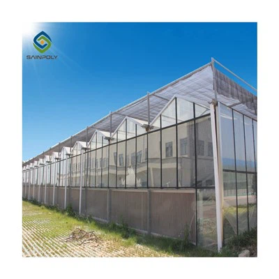 Commercial Polycarbonate Greenhouse