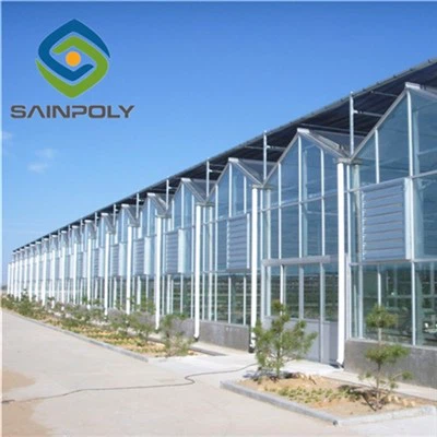 Cucumber Glass Greenhouse