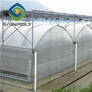 Cucumber Plastic Film Greenhouse