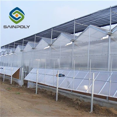 Cucumber Polycarbonate Greenhouse