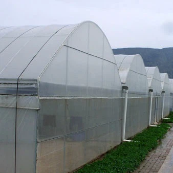 Cucumber Tunnel Greenhouse
