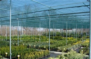 Hdpe Sun Shading Net