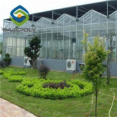 Heat Preservation Agricultural Glass Greenhouse