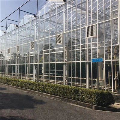 Intelligent Agriculture Multi-span Glass Greenhouse