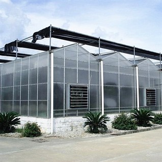 Lettuce Polycarbonate Greenhouse