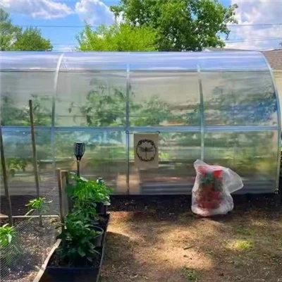 Polycarbonate Tunnel Greenhouse