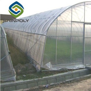 Tomato High Tunnel Greenhouse