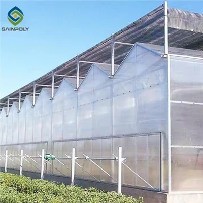 Tomato Polycarbonate Greenhouse