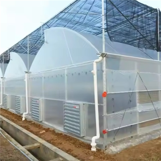 Tomato Tunnel Greenhouse