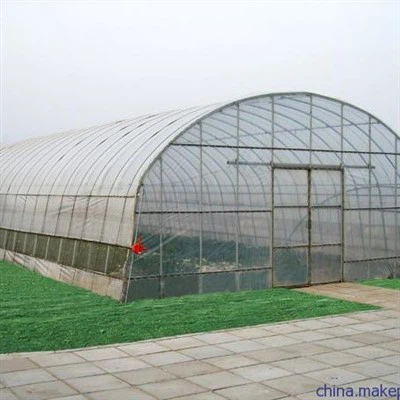 Vegetable Tunnels Greenhouse