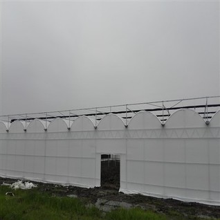 White Plastic Film Greenhouse