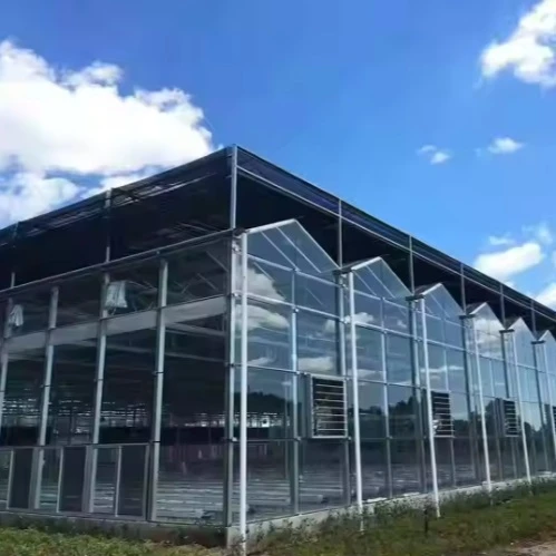 Tomato Glass Greenhouse