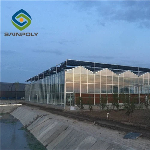 Tomato PC Sheet Greenhouse