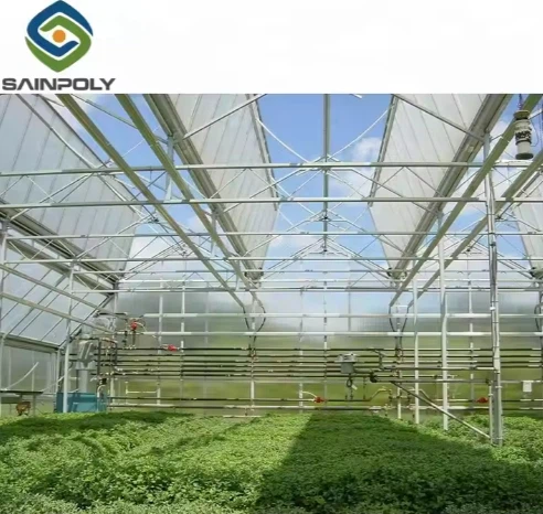 Vegetables Hydroponic Greenhouse