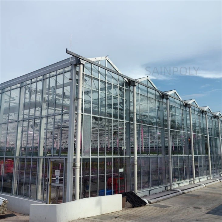 Glass Greenhouse
