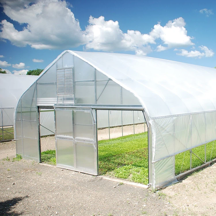 Walk in Tunnel Greenhouse
